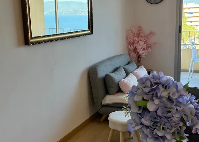 Magnifique Face A La Apartment